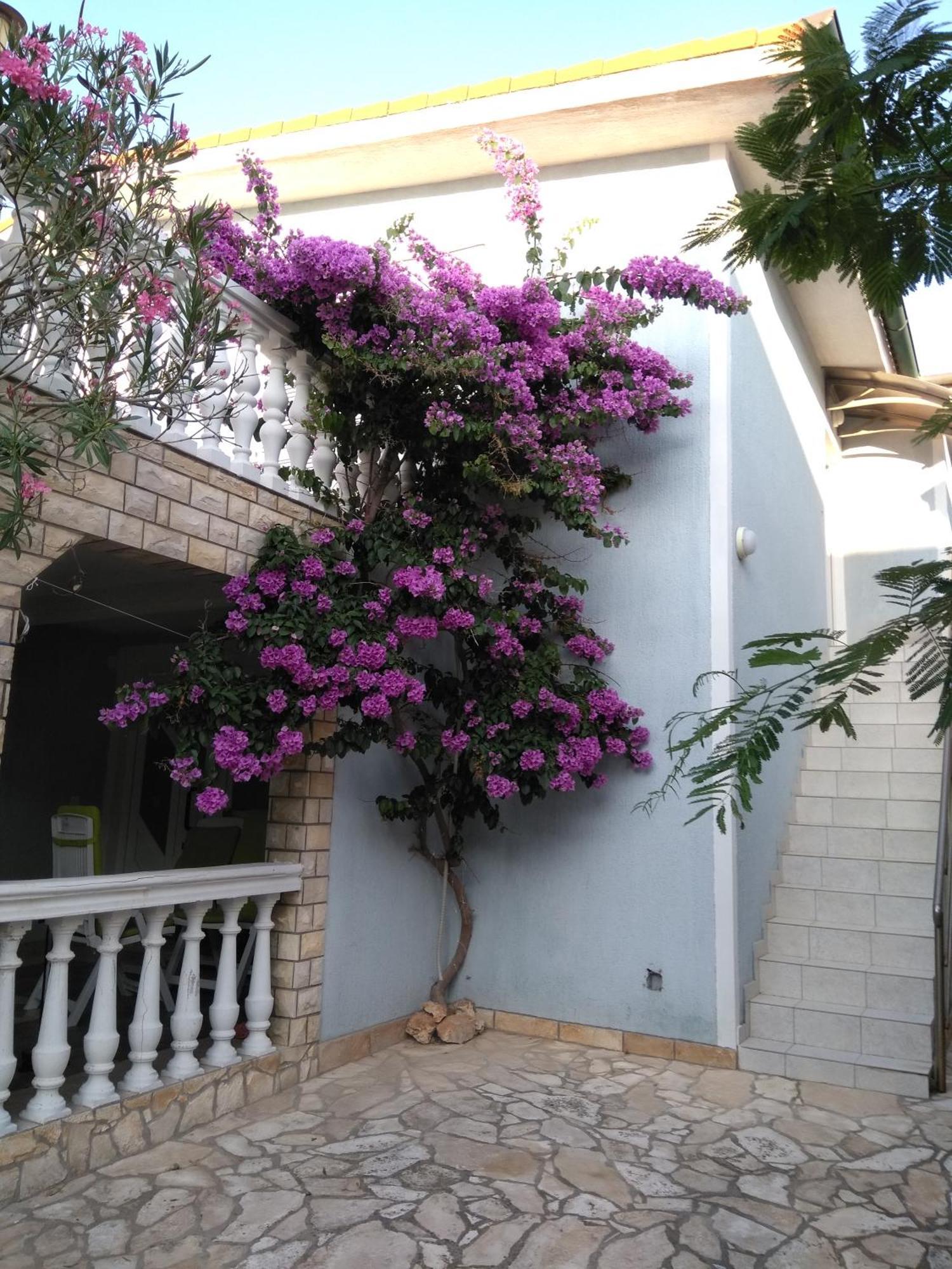 Apartmani Korade Vir Luaran gambar